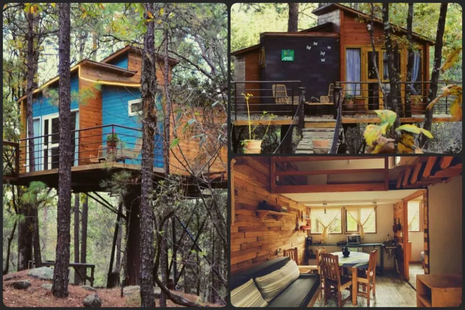 Estas cabañas entre los árboles en Huasca son ideales para escapar del estrés