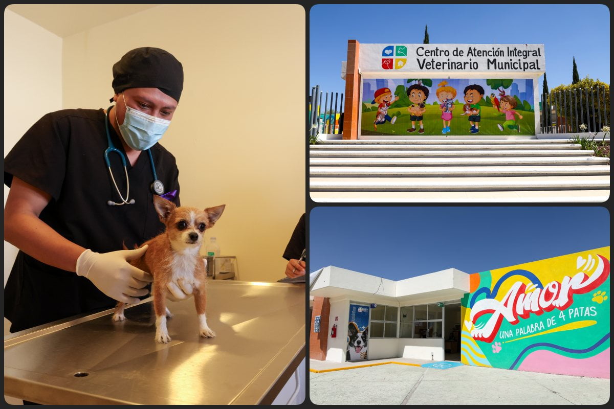 #Galería: Así es el Centro de Atención Integral Veterinario de Pachuca