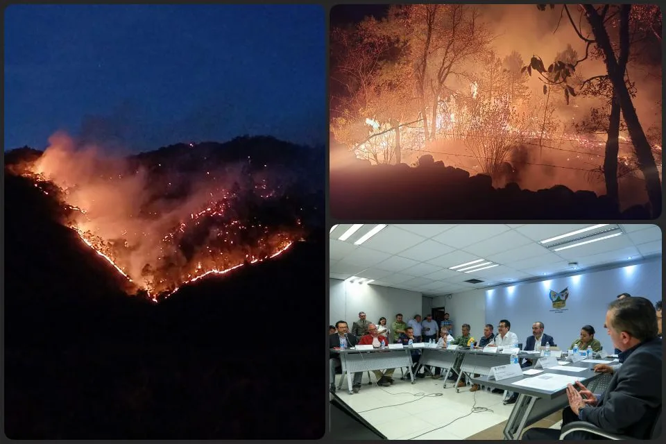 Autoridades afirman que los devastadores incendios forestales activos en Hidalgo han sido provocados