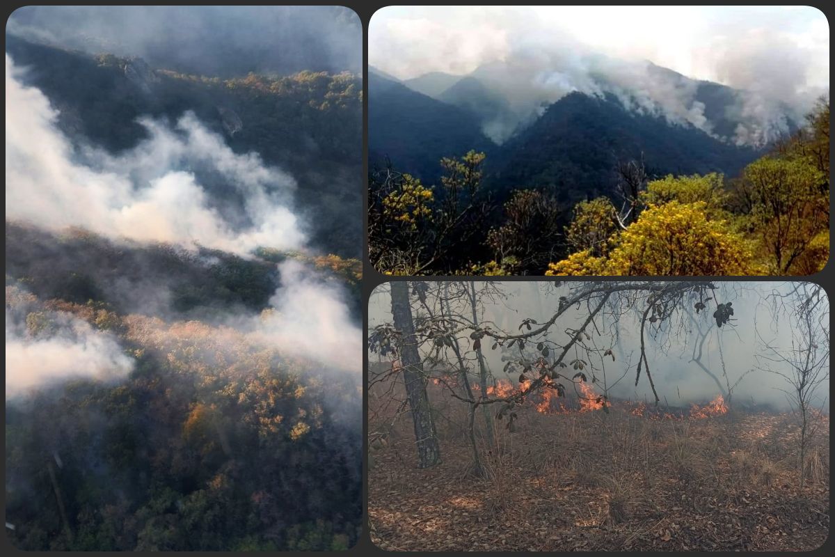 Casi 2 mil 500 hectáreas han sido afectadas en Hidalgo por 104 incendios forestales esta temporada