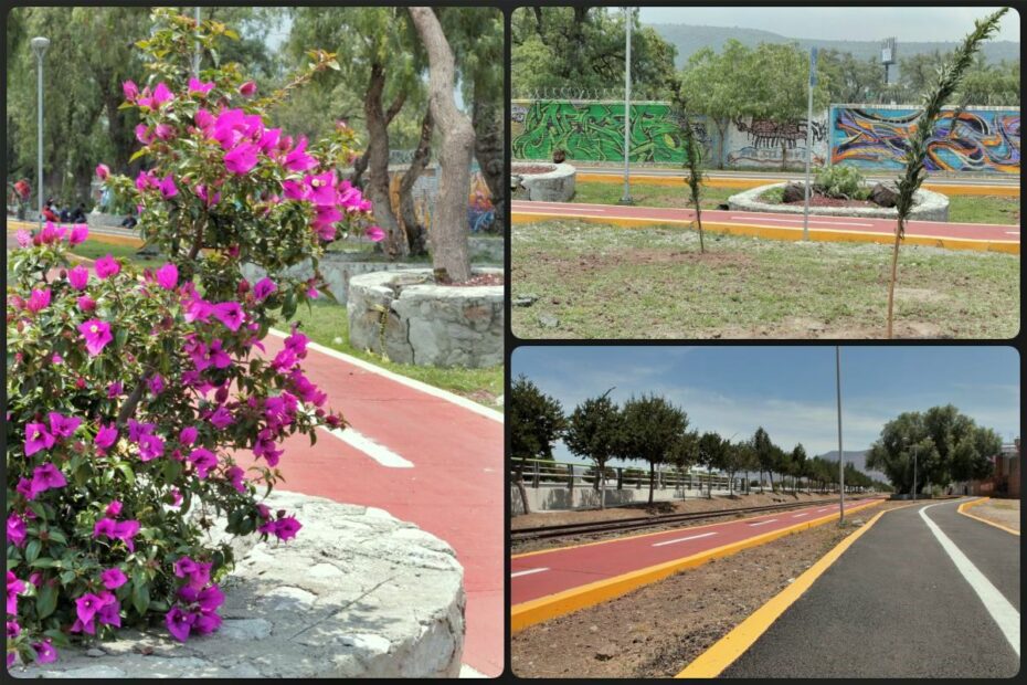 Colocan más de 4 mil plantas en rehabilitación de andador y ciclovía en Pachuca