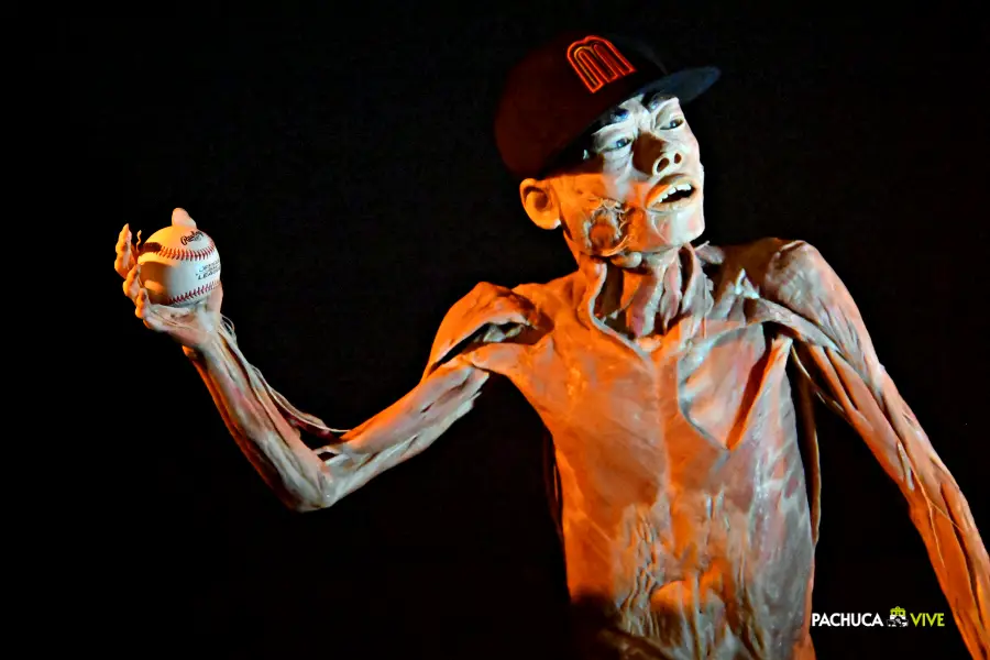 'Our Body': llega a Pachuca la fascinante exposición itinerante más vista de todos los tiempos