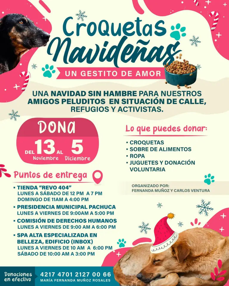 Croquetas Navideñas: así puedes dar un 'gestito de amor' a peluditos de Pachuca en situación de calle