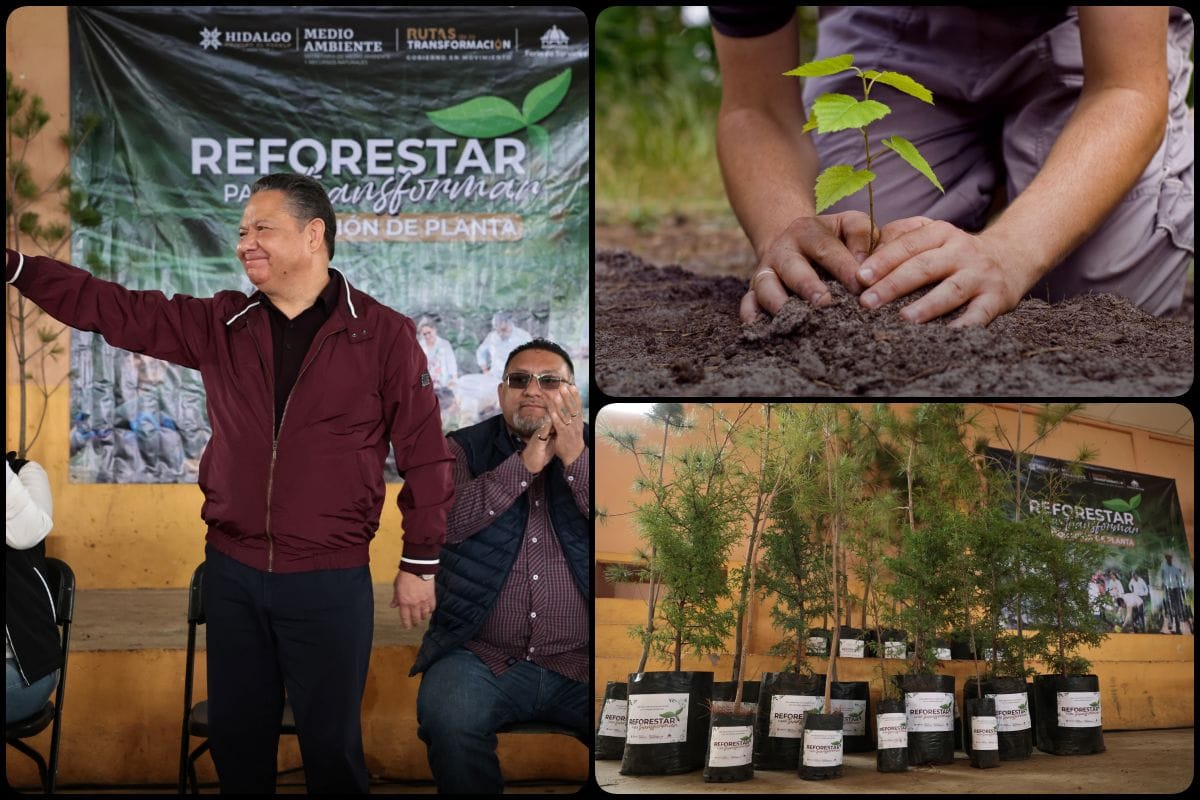 Reforestar para Transformar: la estrategia de Julio Menchaca para promover la participación ecológica