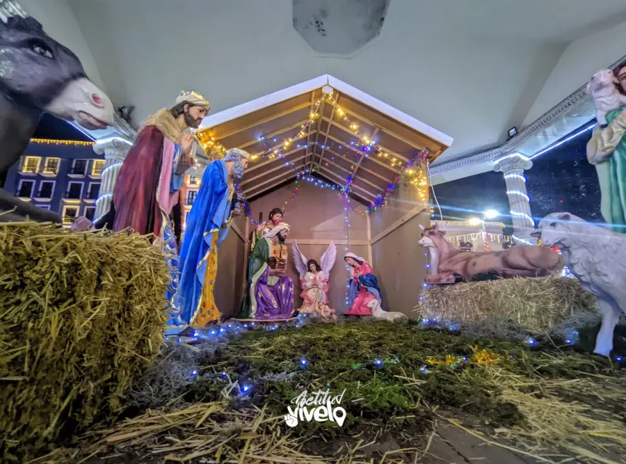 El centro de Pachuca se llena de magia navideña con iluminación y pista de hielo | Fotos y video