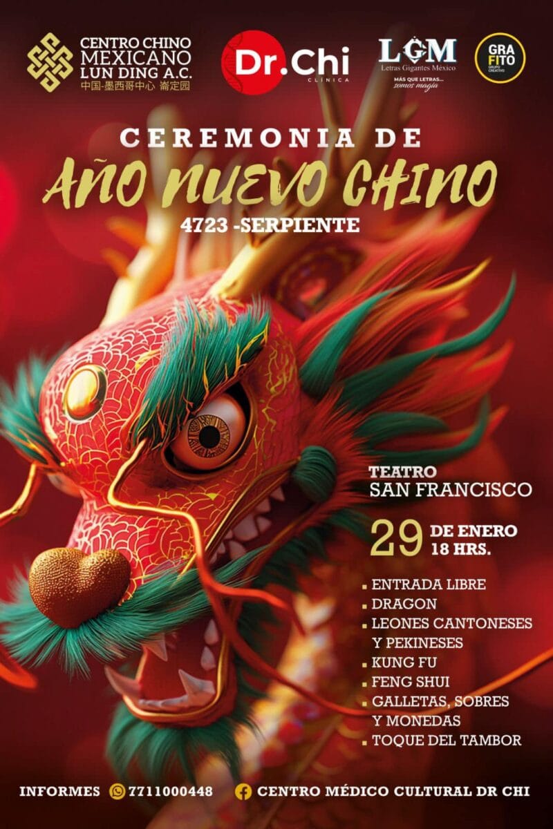 ¡Feliz Año Nuevo Chino! No te pierdas la gran celebración en Pachuca por el Año de la Serpiente de Madera 4 ¡Feliz Año Nuevo Chino! No te pierdas la gran celebración en Pachuca por el Año de la Serpiente de Madera