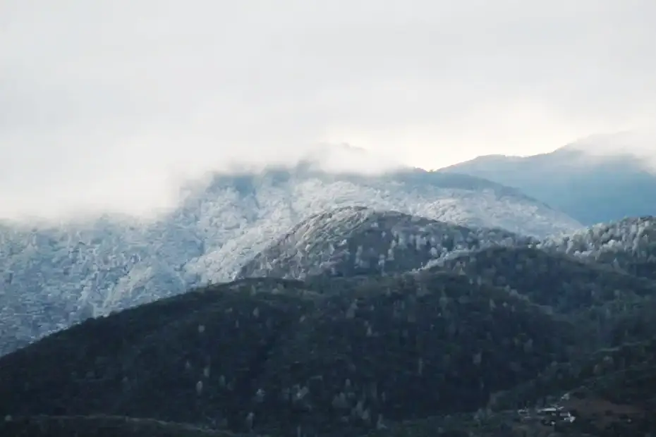 Las mejores postales que ha dejado la sorpresiva e histórica nevada en Hidalgo 9 Las mejores postales que ha dejado la sorpresiva e histórica nevada en Hidalgo