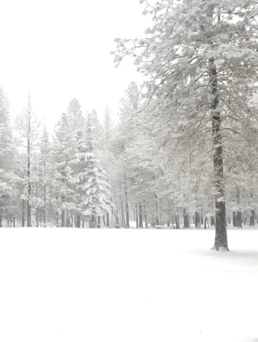 Las mejores postales que ha dejado la sorpresiva e histórica nevada en Hidalgo 11 Las mejores postales que ha dejado la sorpresiva e histórica nevada en Hidalgo