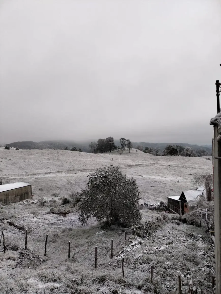 Las mejores postales que ha dejado la sorpresiva e histórica nevada en Hidalgo 12 Las mejores postales que ha dejado la sorpresiva e histórica nevada en Hidalgo