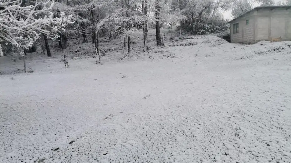 Las mejores postales que ha dejado la sorpresiva e histórica nevada en Hidalgo 13 Las mejores postales que ha dejado la sorpresiva e histórica nevada en Hidalgo