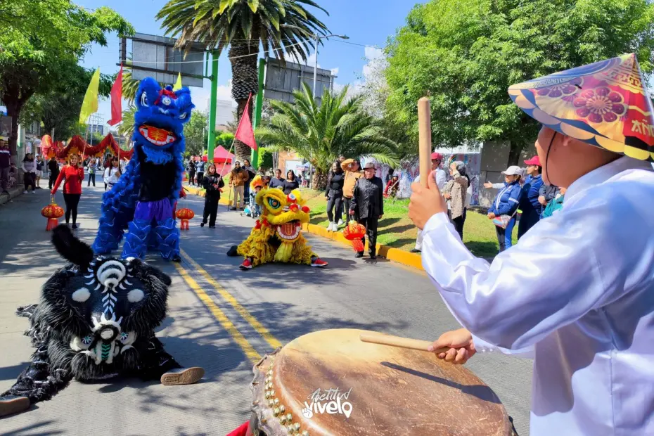¡Color, cultura y celebración! Así se vivió en Pachuca el desfile por el Año Nuevo Chino (fotos y video) 6 ¡Color, cultura y celebración! Así se vivió en Pachuca el desfile por el Año Nuevo Chino (fotos y video)
