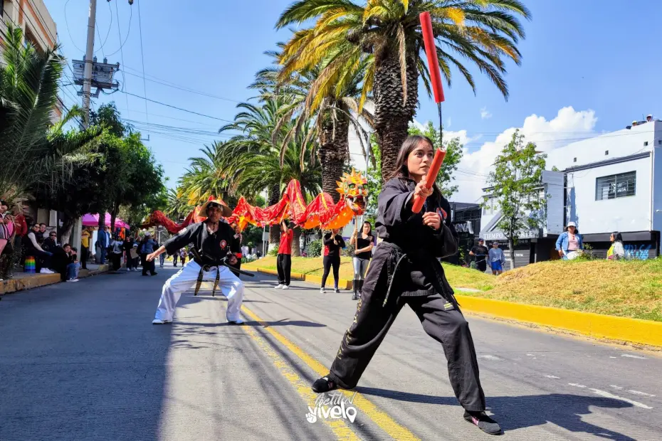 ¡Color, cultura y celebración! Así se vivió en Pachuca el desfile por el Año Nuevo Chino (fotos y video) 8 ¡Color, cultura y celebración! Así se vivió en Pachuca el desfile por el Año Nuevo Chino (fotos y video)