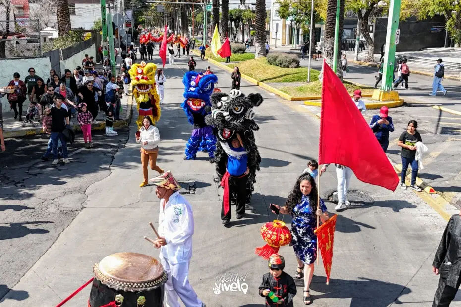 ¡Color, cultura y celebración! Así se vivió en Pachuca el desfile por el Año Nuevo Chino (fotos y video) 9 ¡Color, cultura y celebración! Así se vivió en Pachuca el desfile por el Año Nuevo Chino (fotos y video)