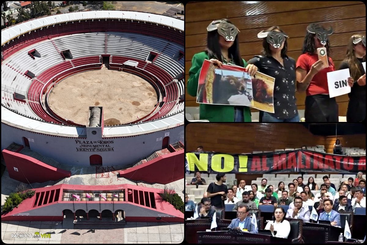 Hidalgo va contra la tauromaquia: presentan iniciativa para prohibir corridas de toros