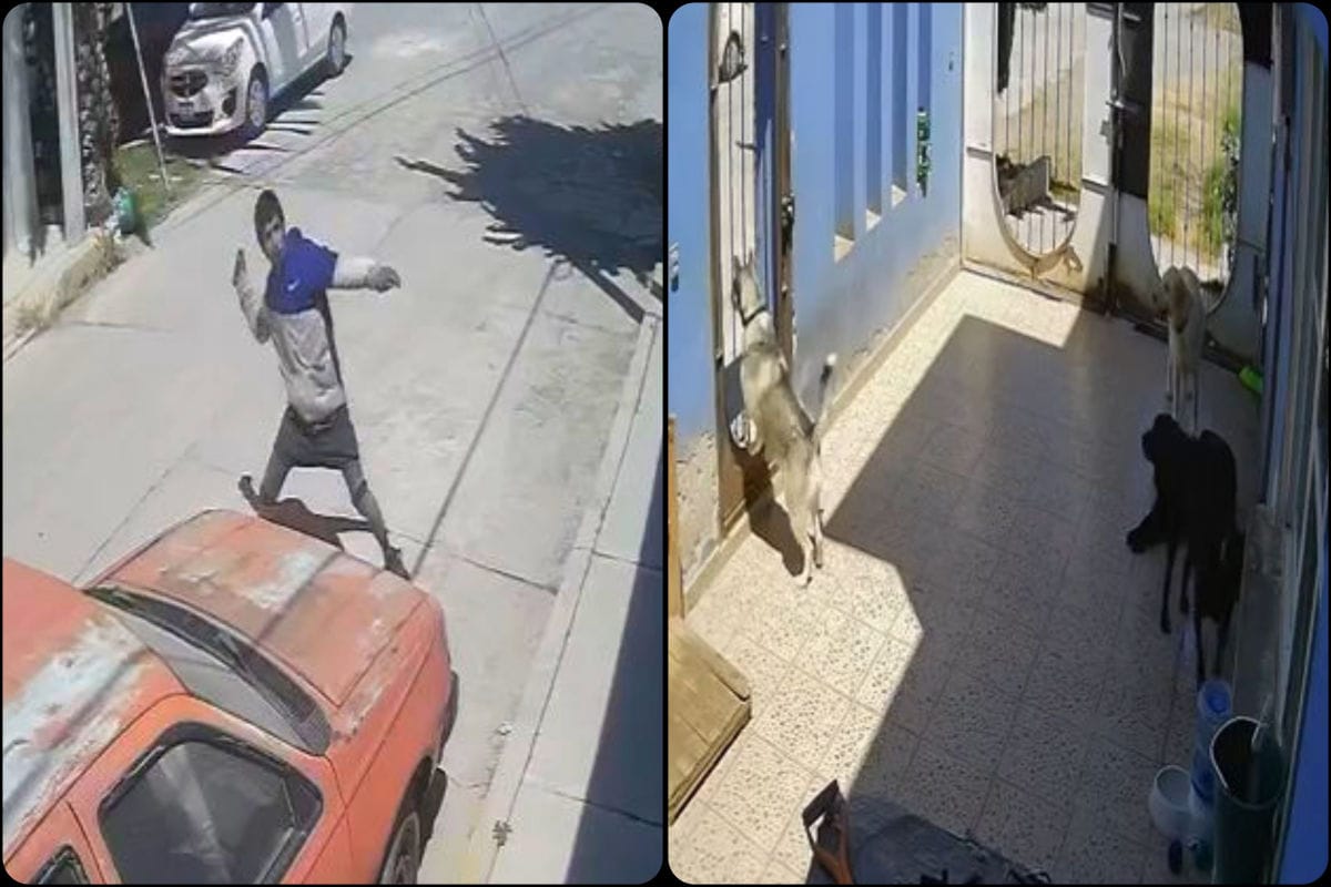 'Lanzapiedras' que agredió a una mujer en Mineral de la Reforma también atacó a lomitos en Pachuca (video)