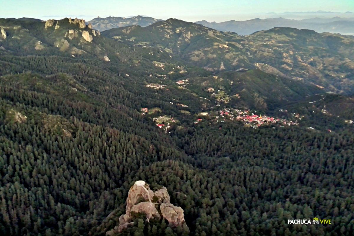Crisis en el Parque Nacional El Chico: plaga afecta al 25 % del bosque y sigue creciendo
