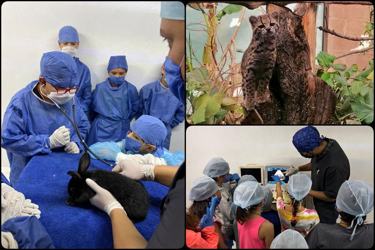 Niñas y niños podrán vivir la experiencia de ser rehabilitadores en la Unidad de Fauna Silvestre de Pachuca