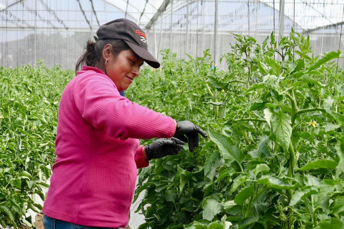 Cerca de 300 mil hidalguenses han salido de la pobreza, según informe anual