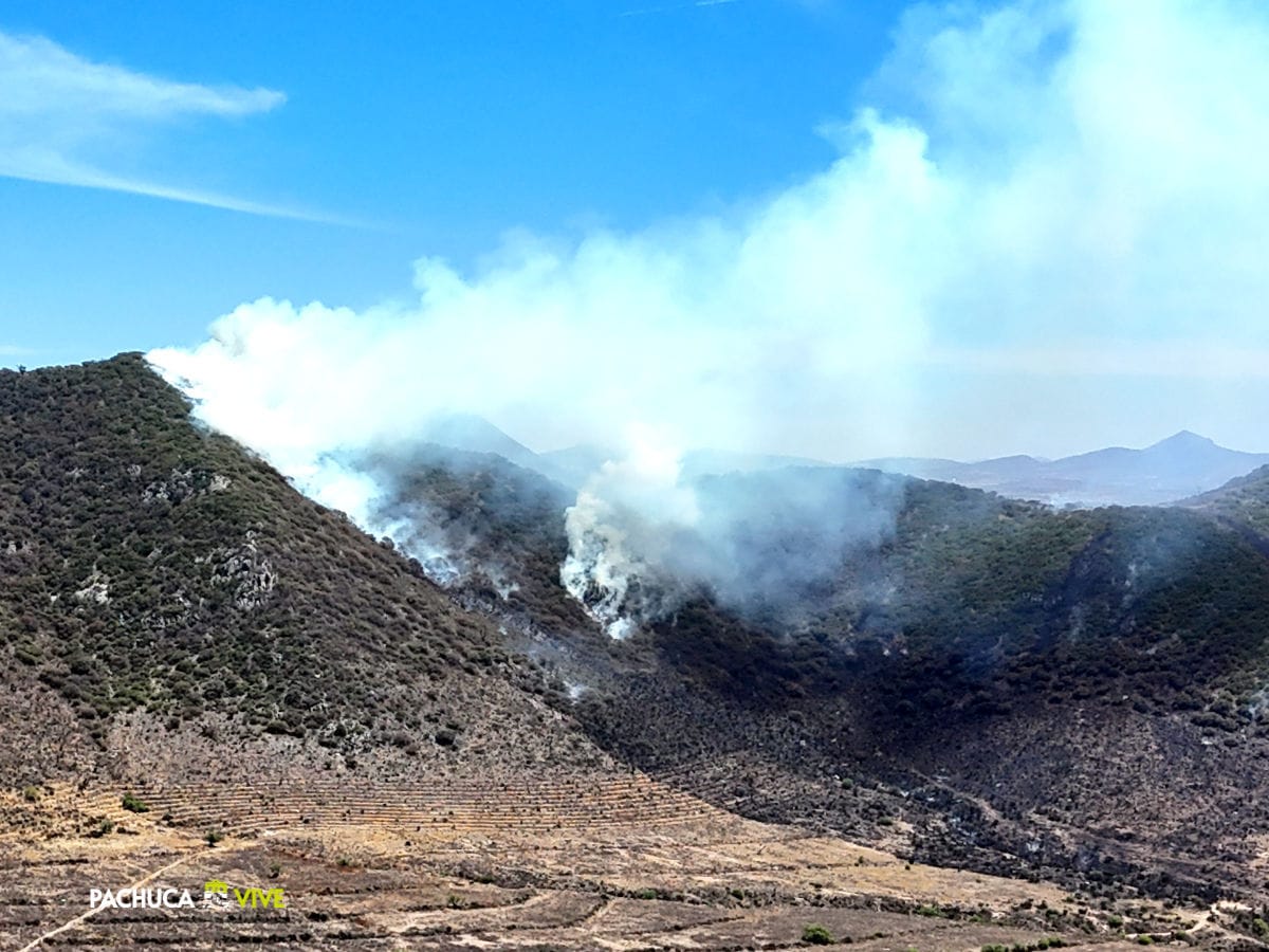 Van cerca de 90 incendios forestales este año en Hidalgo y 9 de cada 10 son provocados por actividad humana