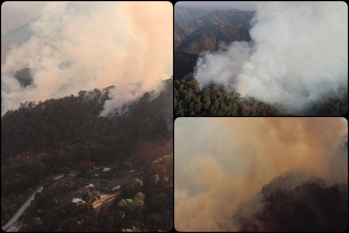 Incendio devasta varias hectáreas de la Sierra de Hidalgo; sobrevuelo muestra la magnitud (video)