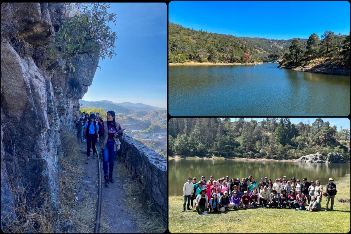 Ruta de senderismo muestra la biodiversidad de la zona boscosa de Pachuca