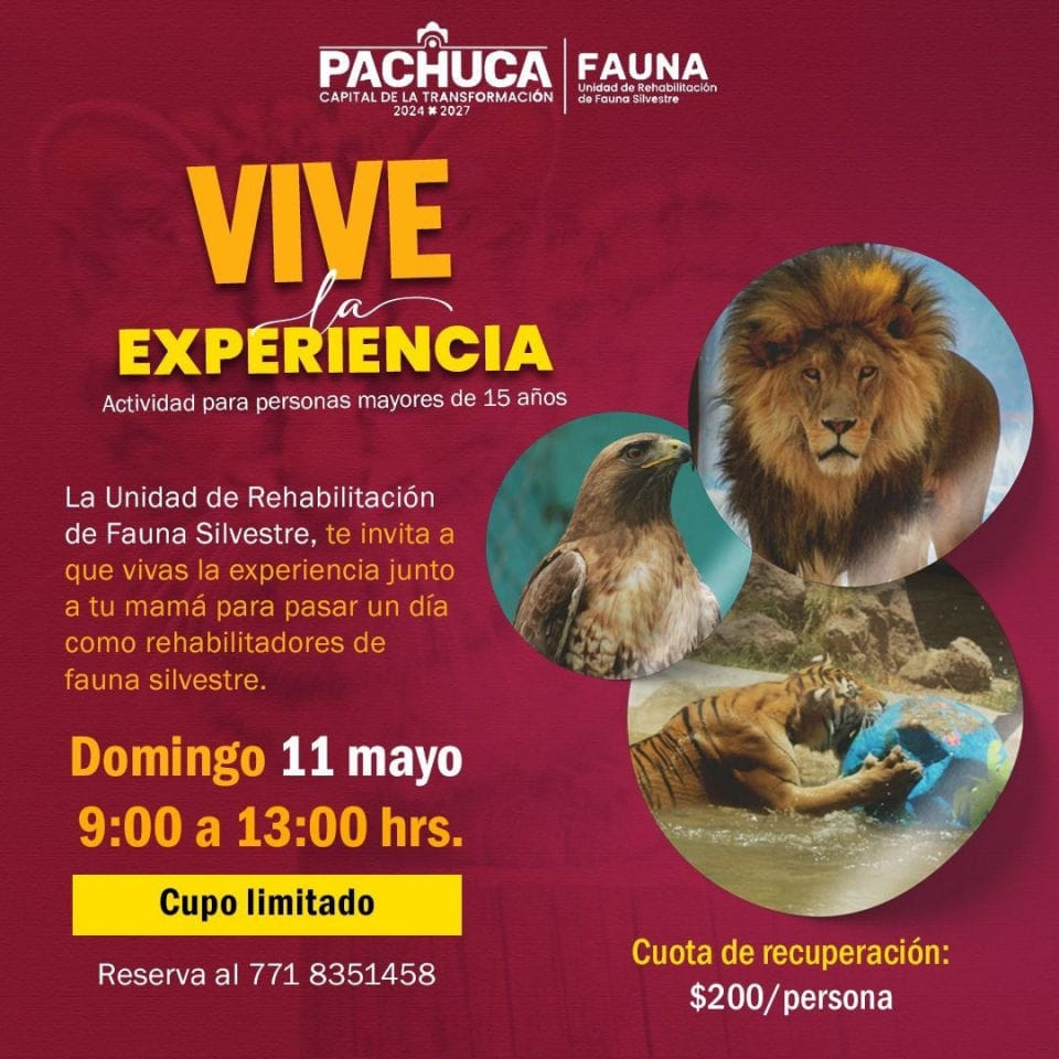 Invitan a experiencia para las mamás en la Unidad de Rehabilitación de Fauna de Pachuca 5 Invitan a experiencia para las mamás en la Unidad de Rehabilitación de Fauna de Pachuca
