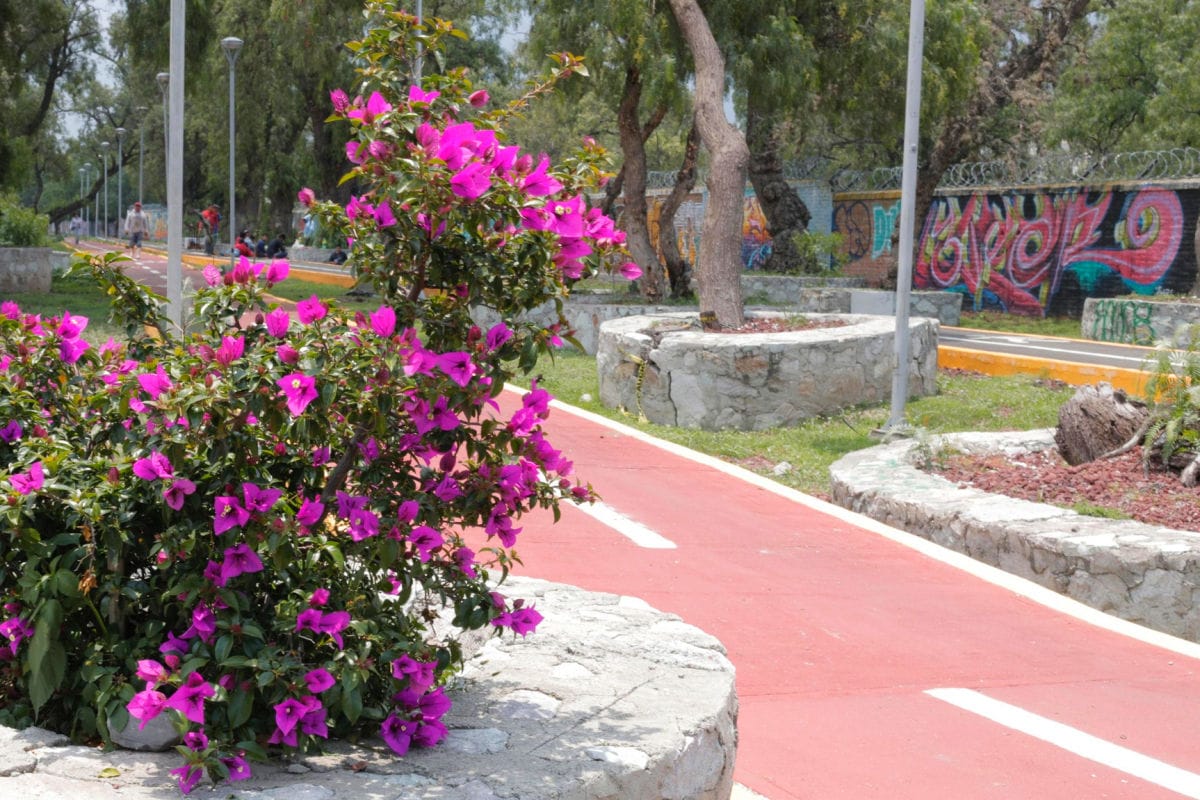 Con el tren AIFA-Pachuca, proyectan nuevas ciclovías para la capital hidalguense