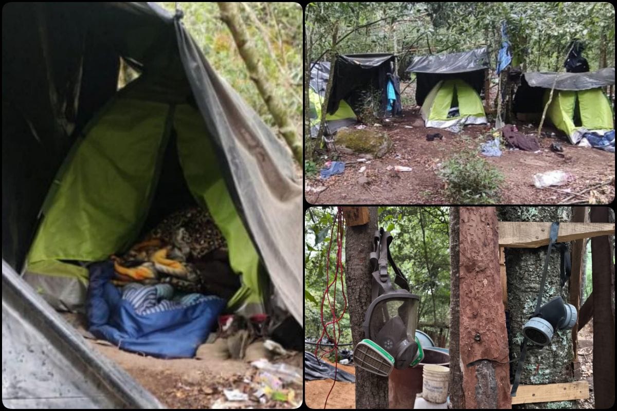 Olor a gases tóxicos revela laboratorio clandestino en medio del bosque en Hidalgo