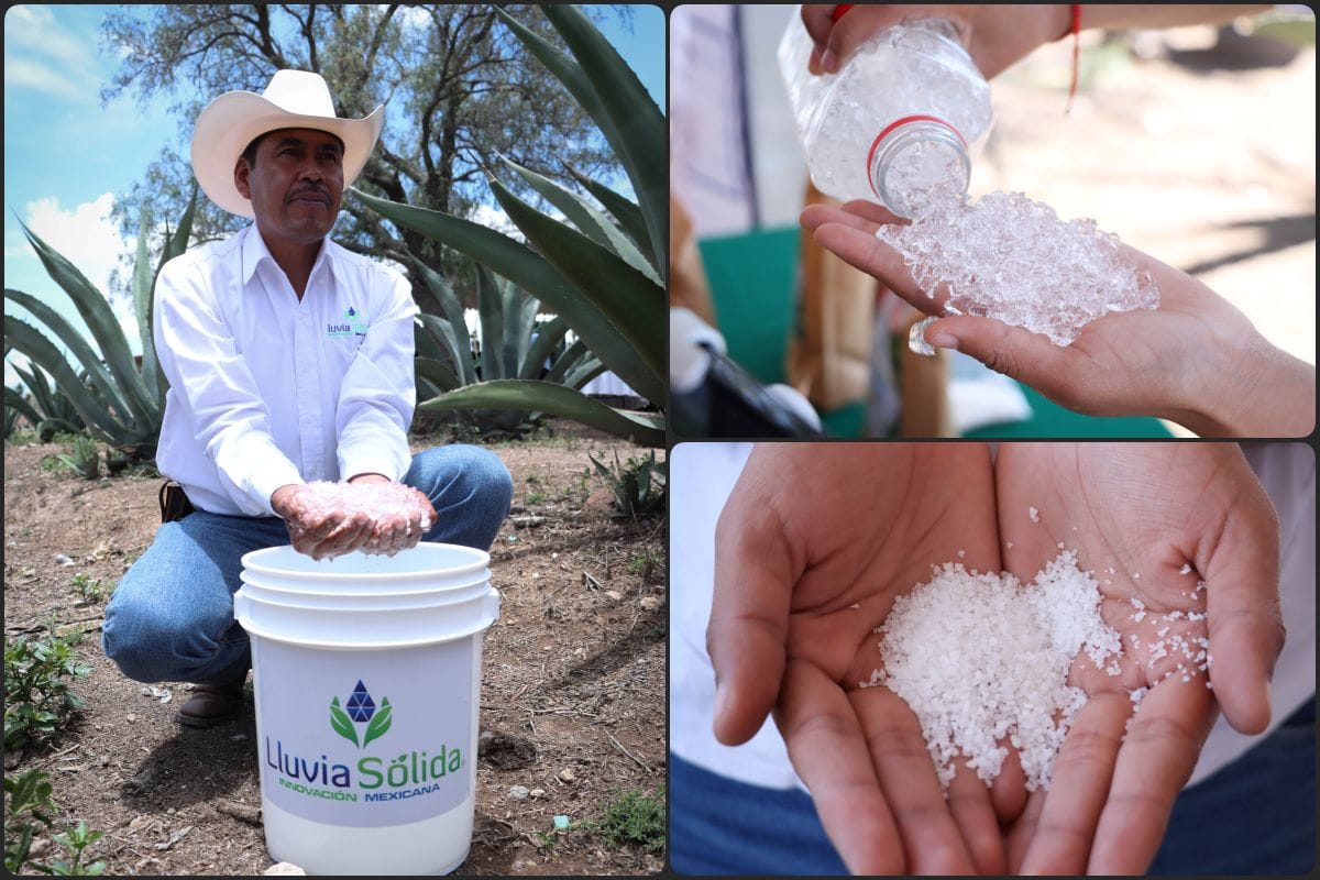 Lluvia sólida, la innovación tecnológica que está revolucionando la agricultura en Hidalgo