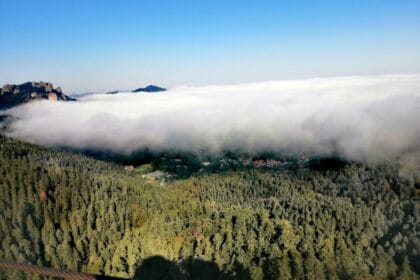 Cierran estas zonas ecoturísticas del Parque Nacional El Chico por devastación de plaga