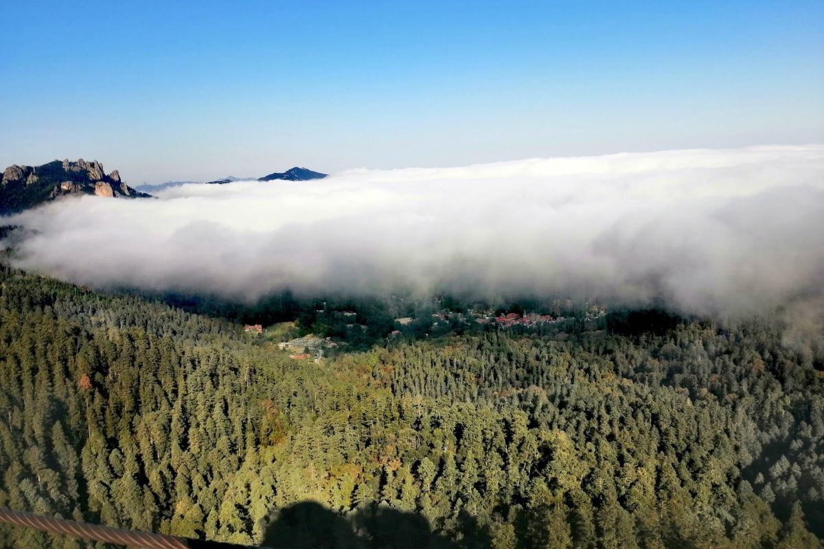 Cierran estas zonas ecoturísticas del Parque Nacional El Chico por devastación de plaga