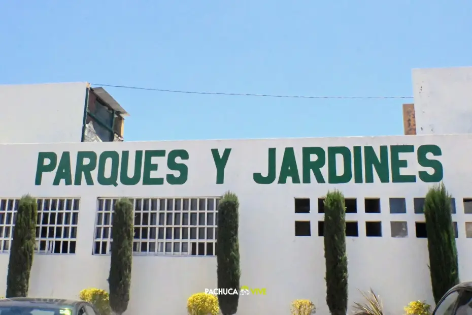 Punto Verde: inauguran nuevo espacio para llevar material reciclable en Pachuca 8 Punto Verde: inauguran nuevo espacio para llevar material reciclable en Pachuca