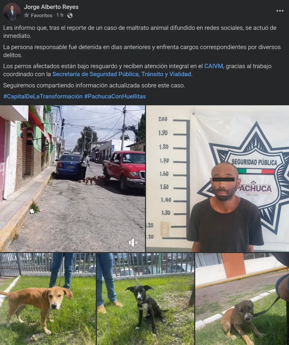 Atrapan a sujeto acusado de maltrato animal en Pachuca 4 Atrapan a sujeto acusado de maltrato animal en Pachuca