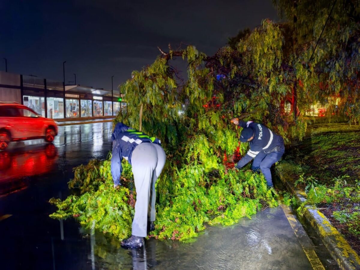 Bardas colapsadas, árbol caído e inundaciones: el recuento de los daños en Pachuca tras la lluvia del domingo 8 Bardas colapsadas, árbol caído e inundaciones: el recuento de los daños en Pachuca tras la lluvia del domingo