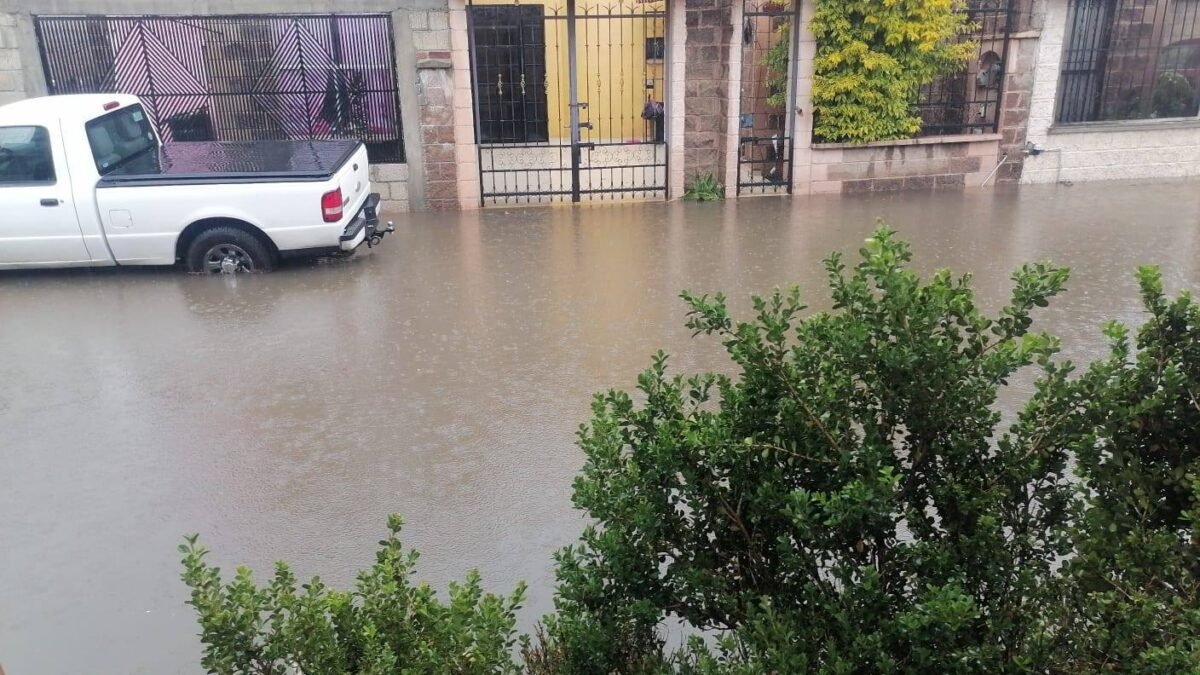 Bardas colapsadas, árbol caído e inundaciones: el recuento de los daños en Pachuca tras la lluvia del domingo 4 Bardas colapsadas, árbol caído e inundaciones: el recuento de los daños en Pachuca tras la lluvia del domingo