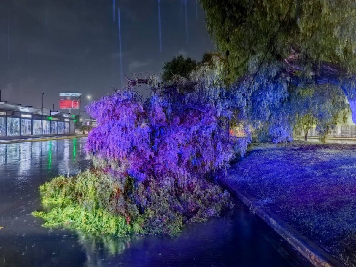 Bardas colapsadas, árbol caído e inundaciones: el recuento de los daños en Pachuca tras la lluvia del domingo 7 Bardas colapsadas, árbol caído e inundaciones: el recuento de los daños en Pachuca tras la lluvia del domingo