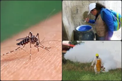 Se han confirmado 37 casos de dengue en Hidalgo esta temporada
