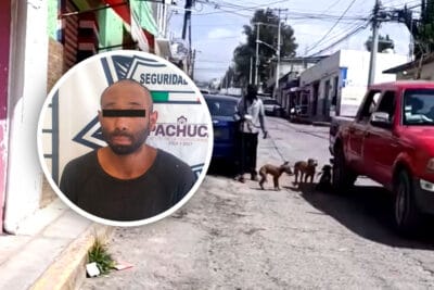 Atrapan a sujeto acusado de maltrato animal en Pachuca