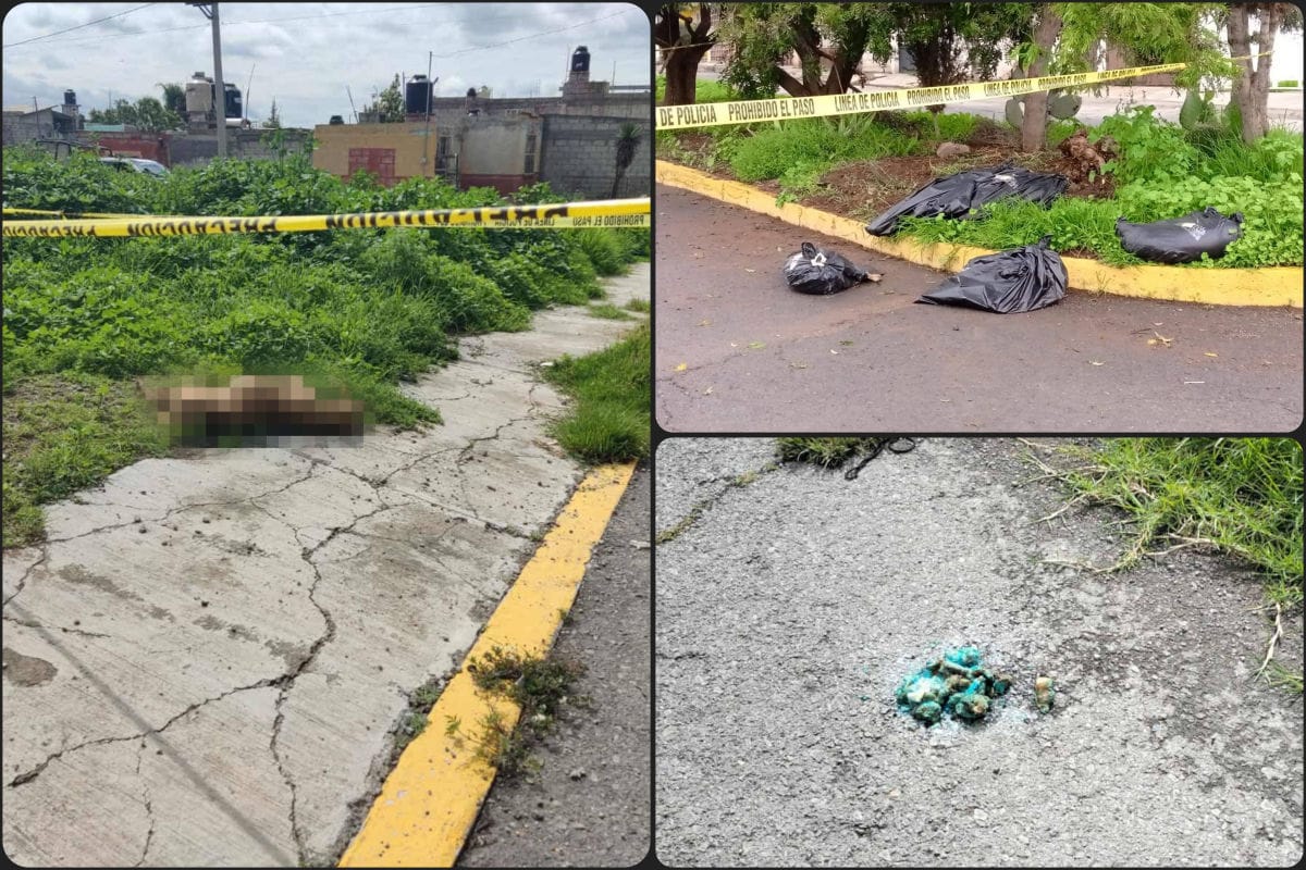 Reportan envenenamiento masivo de perros en colonia de Pachuca: sin vida más de 10 peluditos