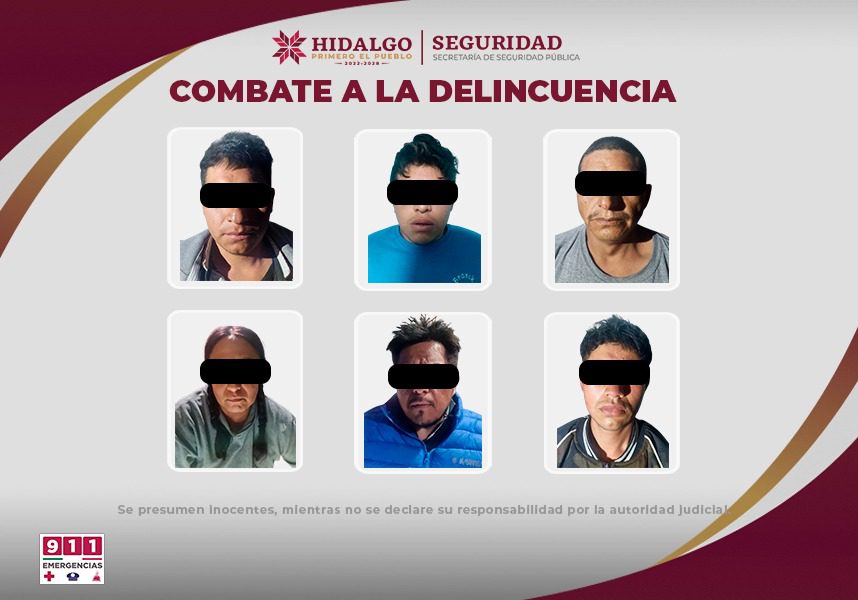 Rescatan a 29 perritos durante cateos contra el narcomenudeo en Hidalgo; estaban en condiciones deplorables