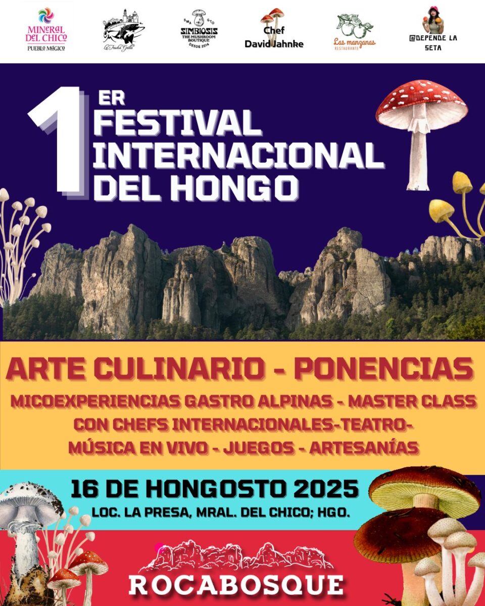 ¡Hongosto! Aquí viene el Primer Festival Internacional del Hongo en Mineral del Chico