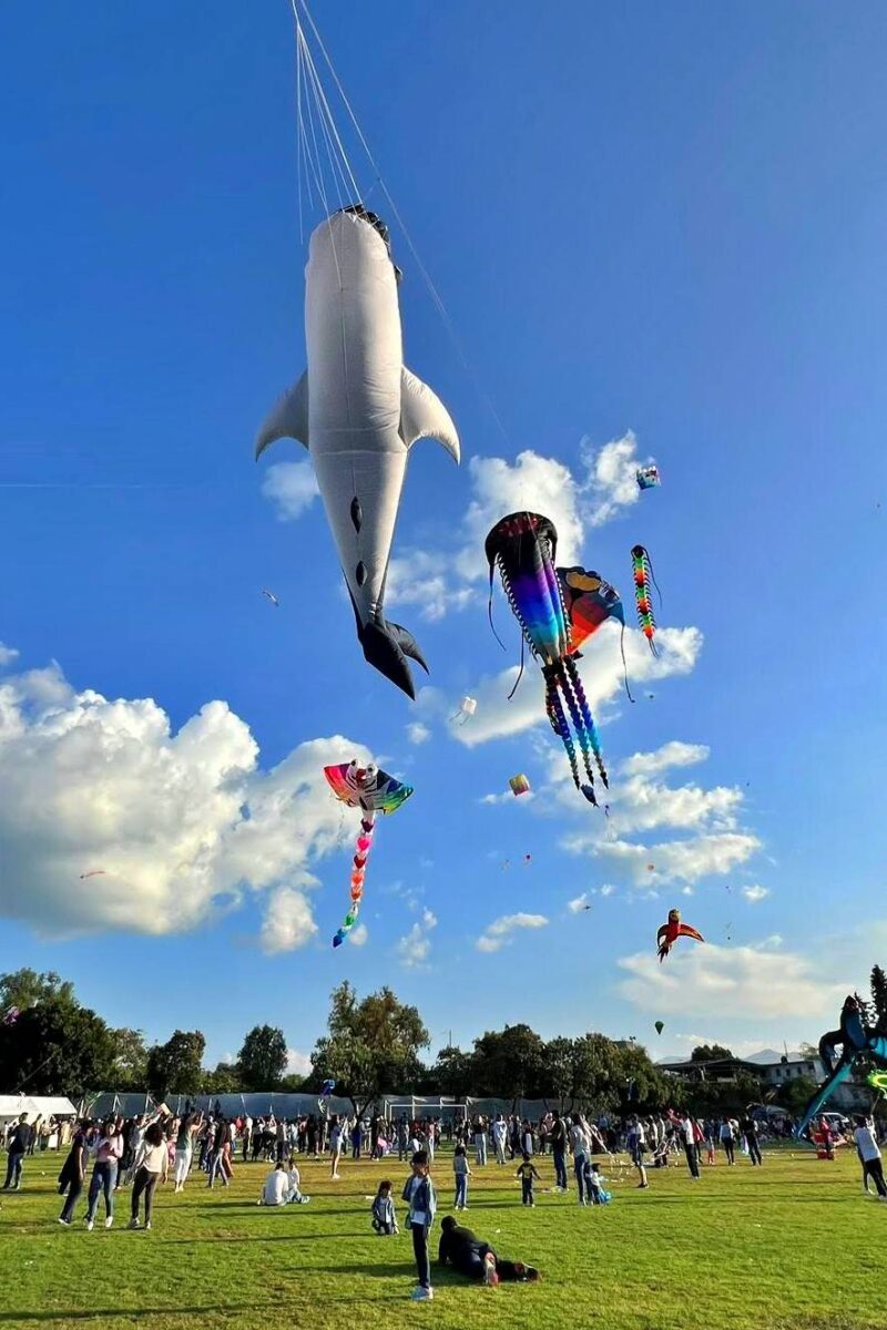 El cielo de Chilcuautla se iluminó con uno de los festivales de papalotes más bellos del país | FOTOS