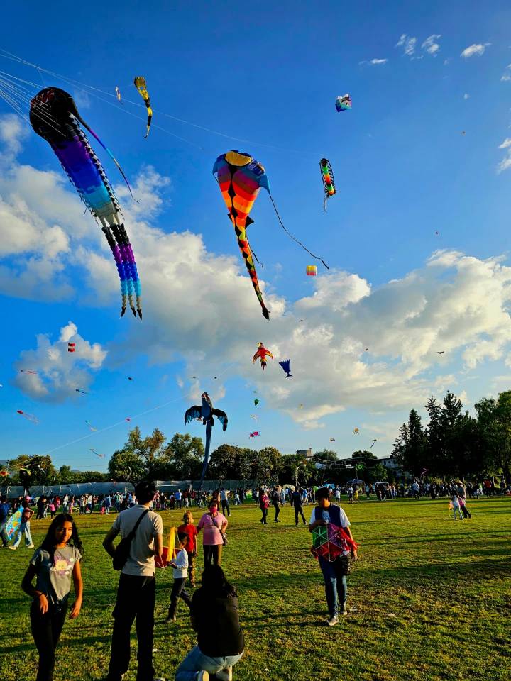 El cielo de Chilcuautla se iluminó con uno de los festivales de papalotes más bellos del país | FOTOS