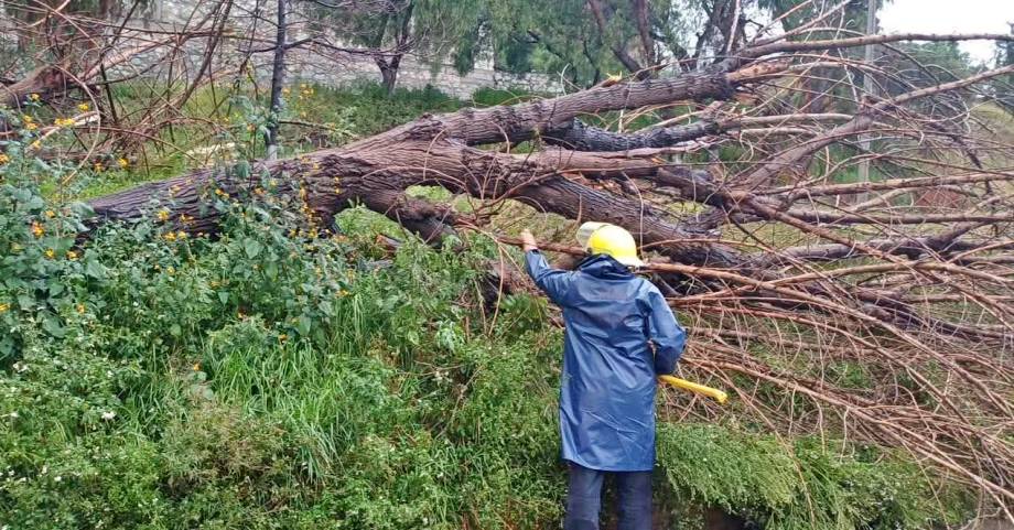 Intensa lluvia causa estragos este domingo en Pachuca