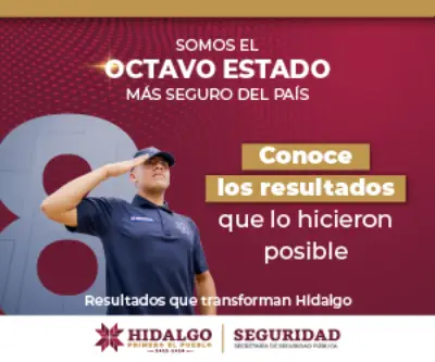 Seguridad Pública
