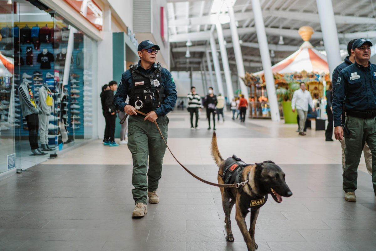 Vigilancia perruna: binomios caninos recorren centros comerciales de Pachuca
