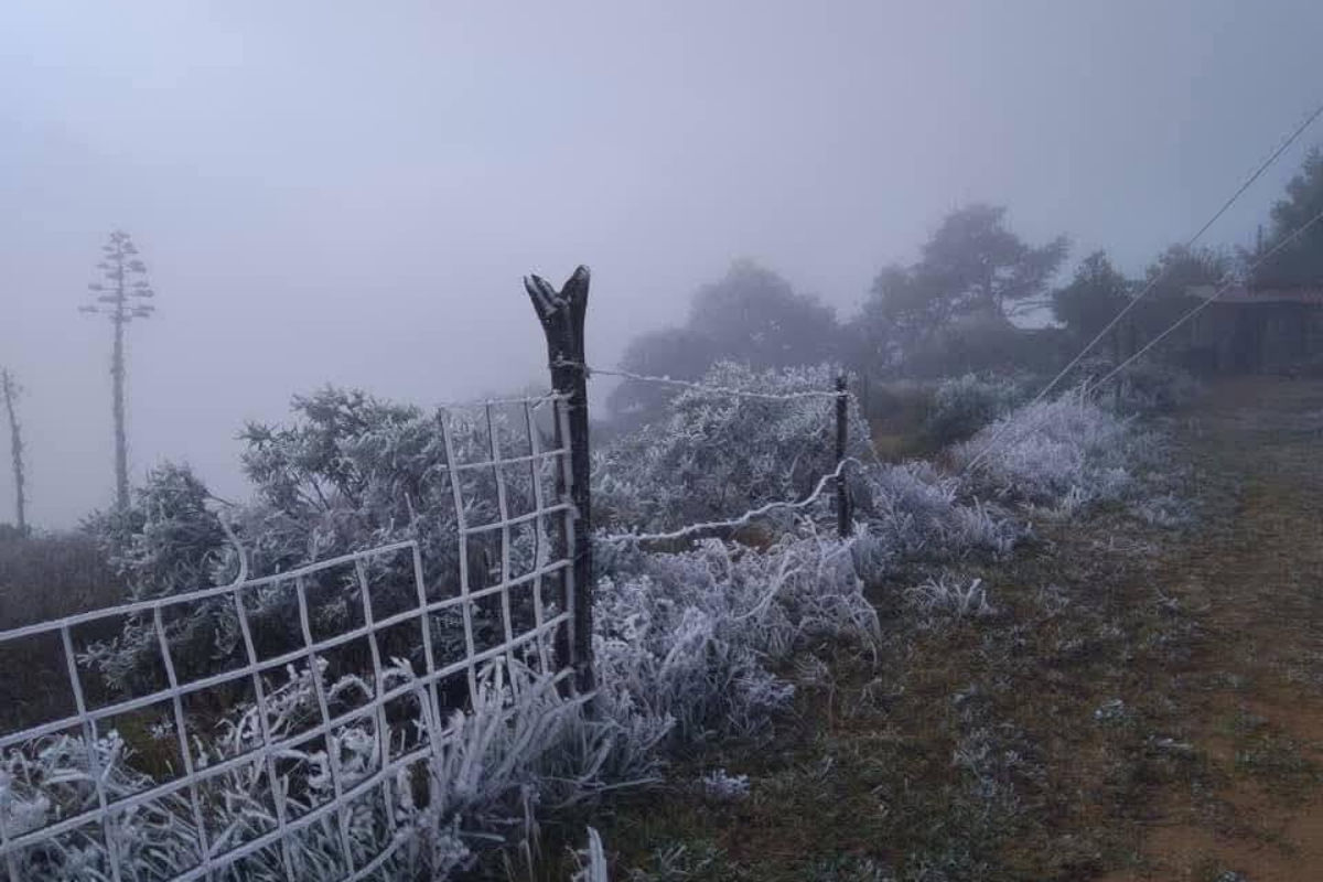 Protección Civil alerta por descenso en la temperatura, heladas y lluvia en Hidalgo para los próximos días