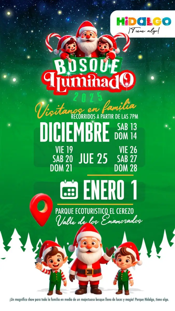 Bosque Iluminado Hidalgo 2025: todo lo que tienes que saber