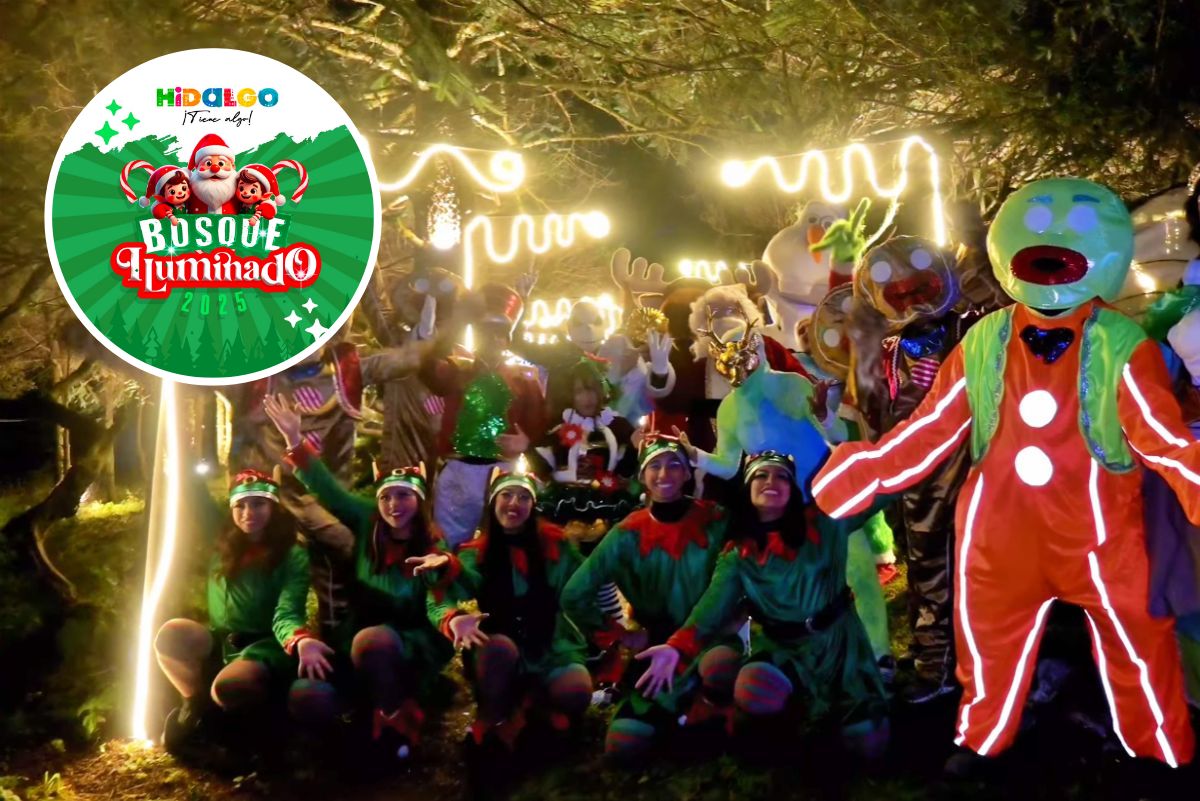 Bosque Iluminado Hidalgo 2025: todo lo que tienes que saber