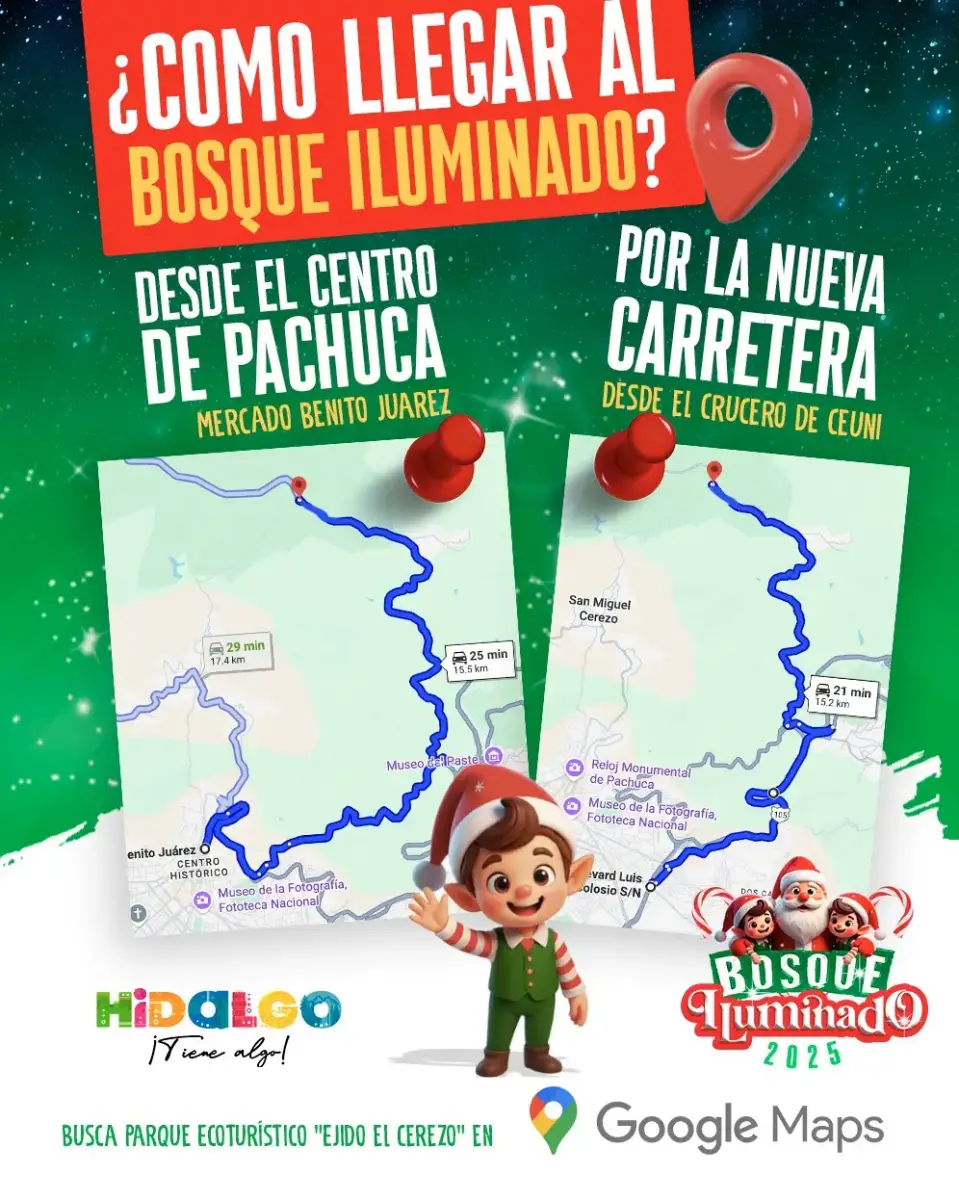 Bosque Iluminado Hidalgo 2025: todo lo que tienes que saber